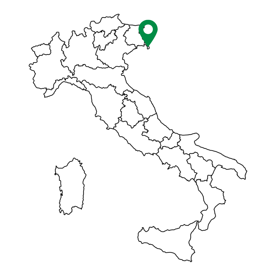 Triest Italien Karte