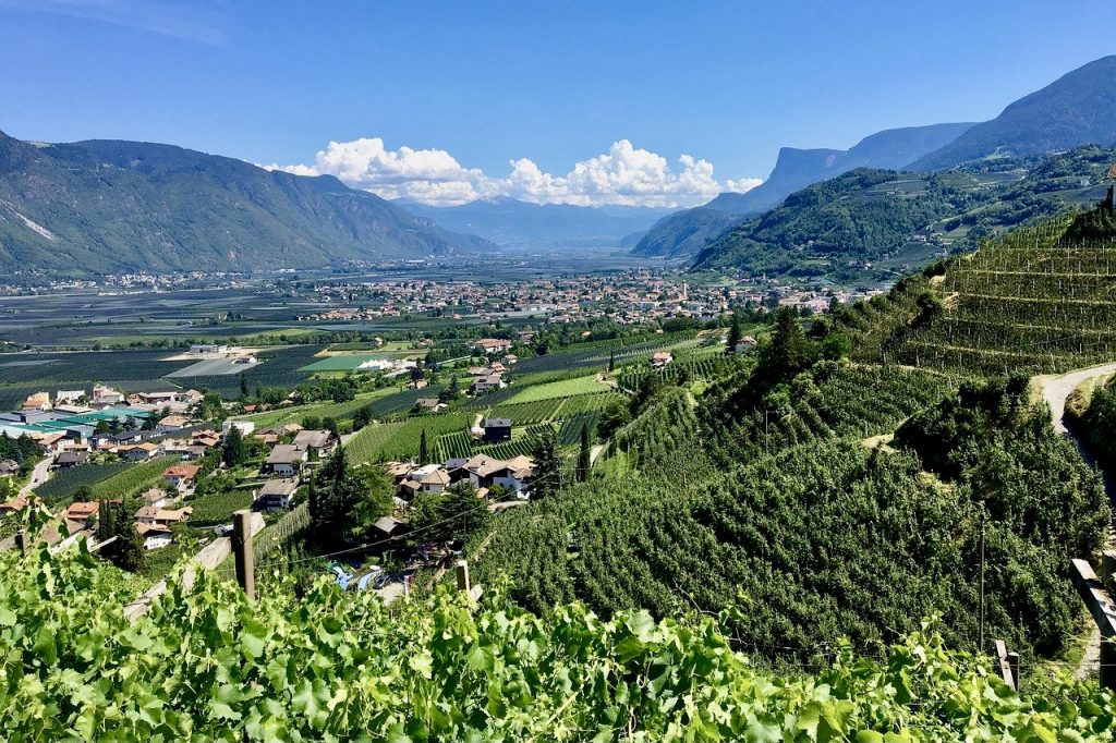 Trentino-Südtirol Wein