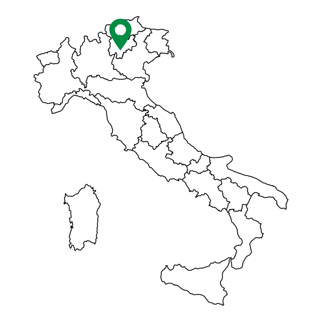 Trient Italien Karte