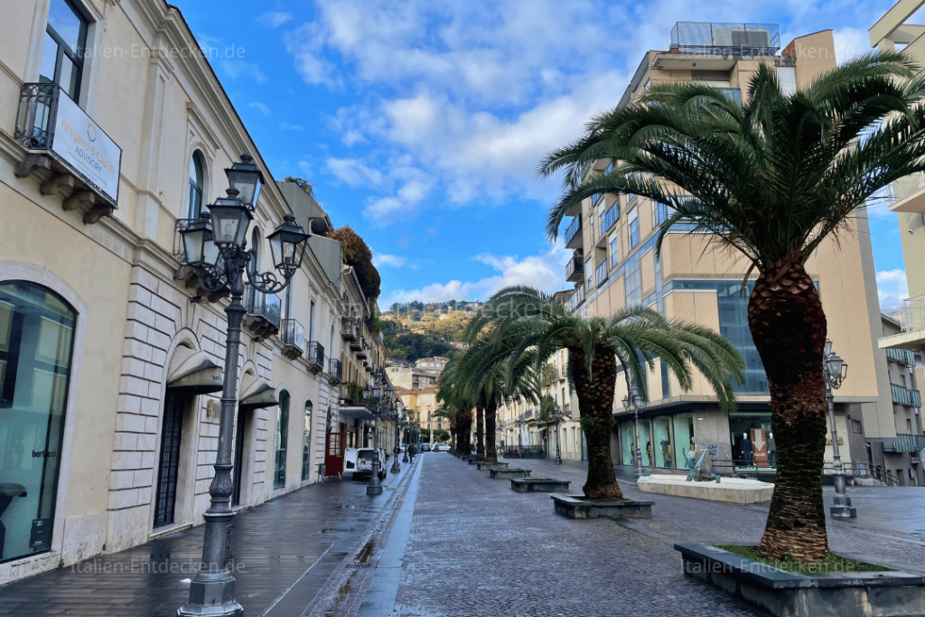 Gebäude und Palmen in der Altstadt von Lamezia Terme 
