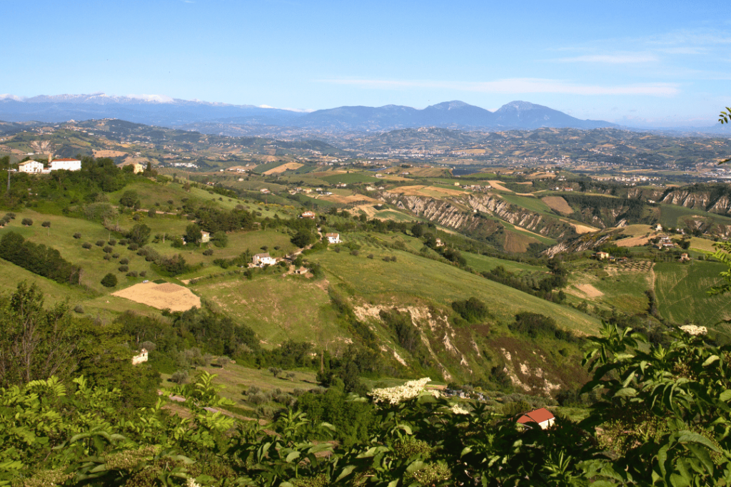 Blick über eine Landschaft mit Feldern und Bäumen