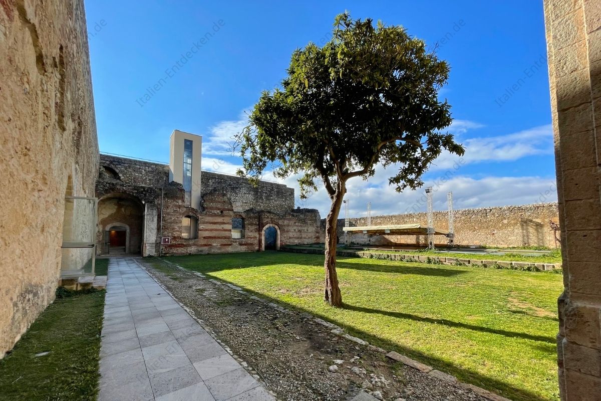 Ein Baum im Burghof des Castello Svevo in Cosenza